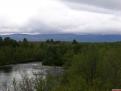 Rivière et Forêt