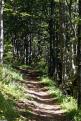 Chemin